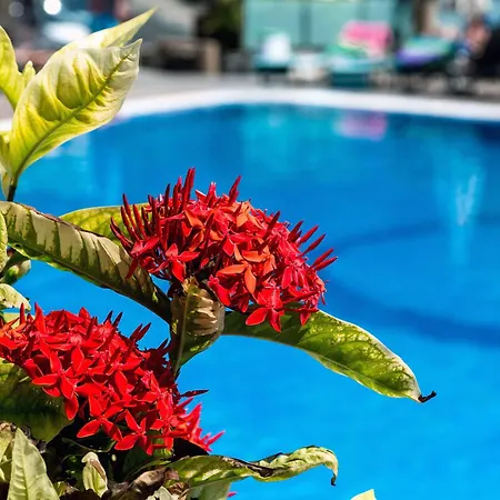 Bahia Blanca Hotel apartamentowy 3*
