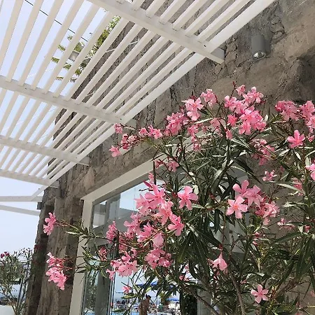 Bahia Blanca Aparthotel Puerto Rico (Gran Canaria)
